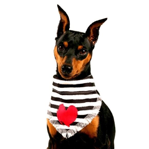 **HOST PICK** NWT Vibrant Life Dog Bandana, Red Heart, Medium/Large - Picture 4 of 5